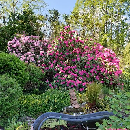 Ferienwohnung Gartenblick Westerstede Kültér fotó