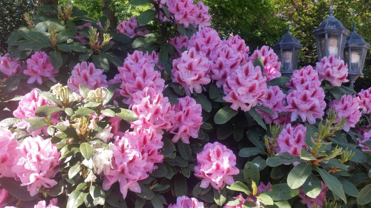 Ferienwohnung Gartenblick Westerstede Kültér fotó