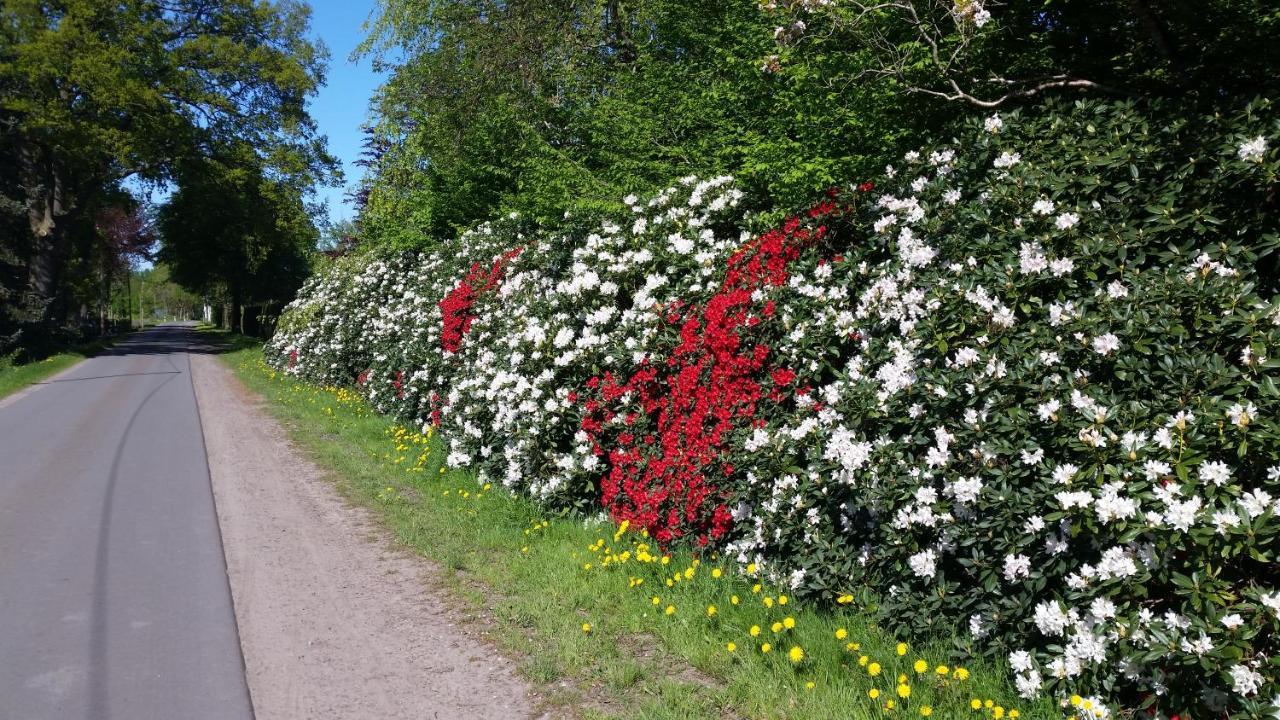 Ferienwohnung Gartenblick Westerstede Kültér fotó