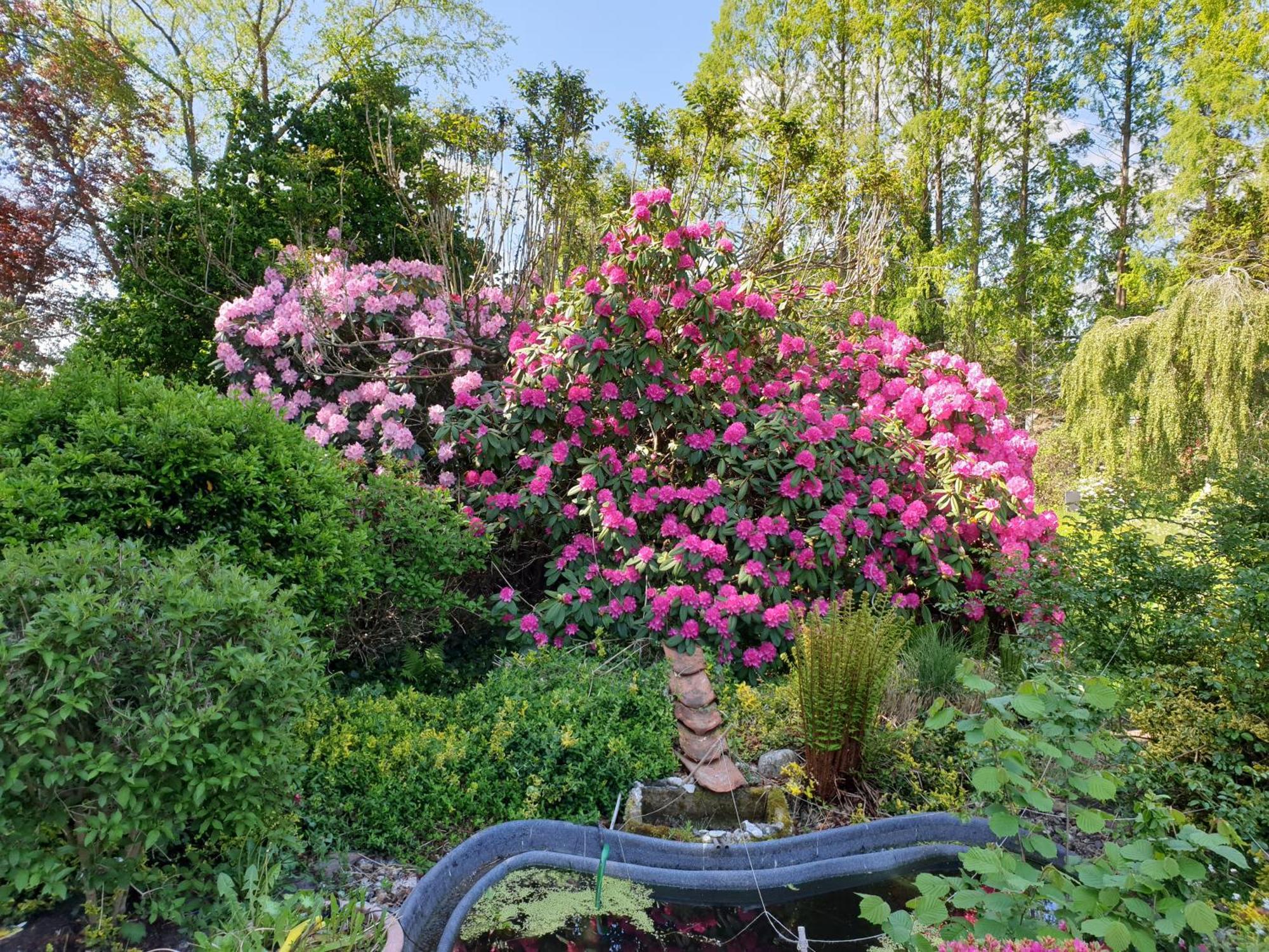 Ferienwohnung Gartenblick Westerstede Kültér fotó