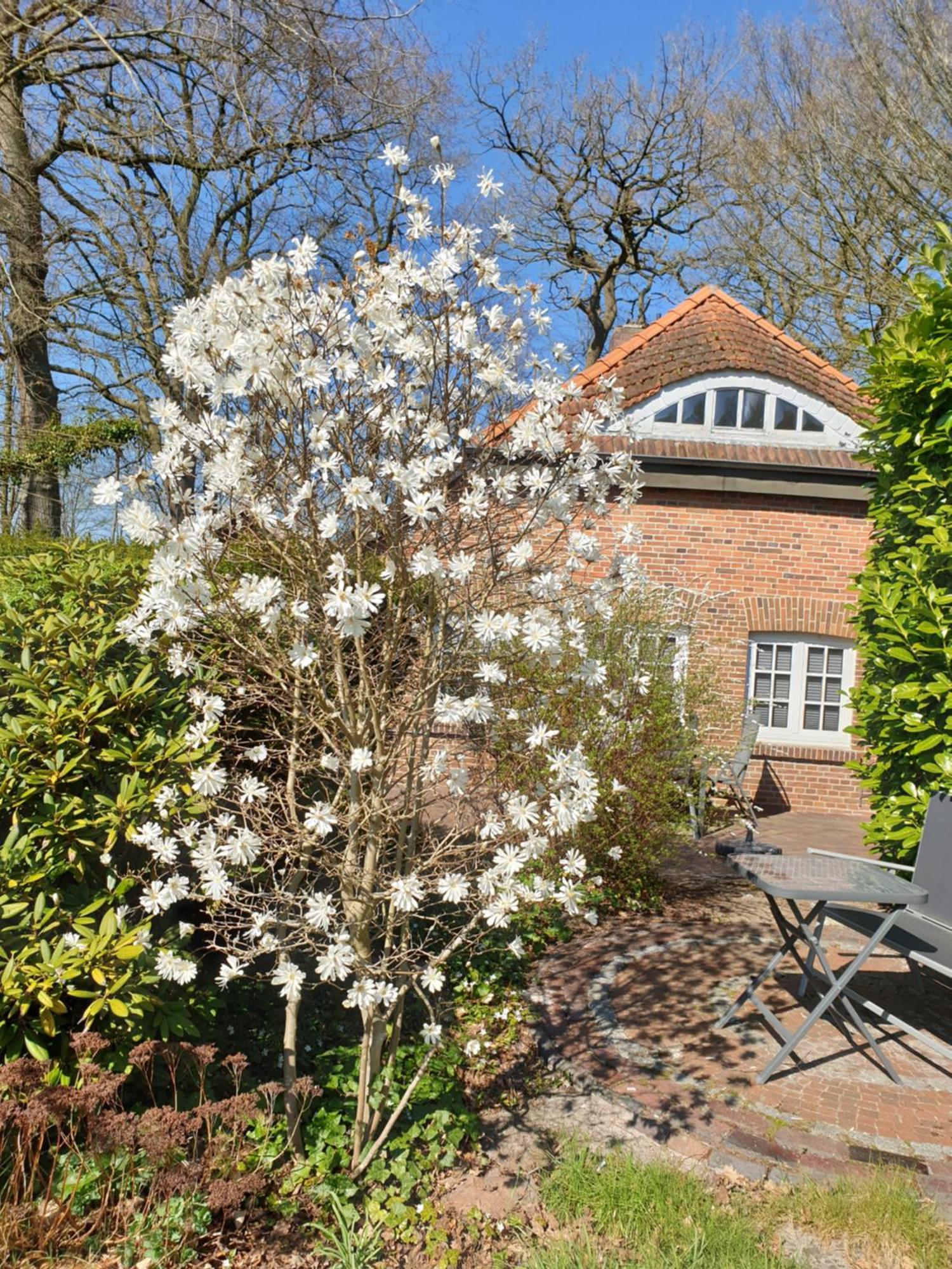 Ferienwohnung Gartenblick Westerstede Kültér fotó